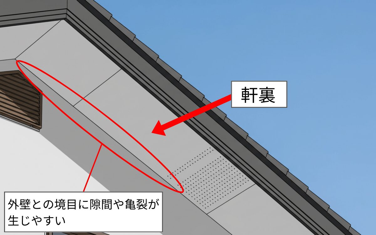 【侵入経路②】軒裏の隙間・亀裂