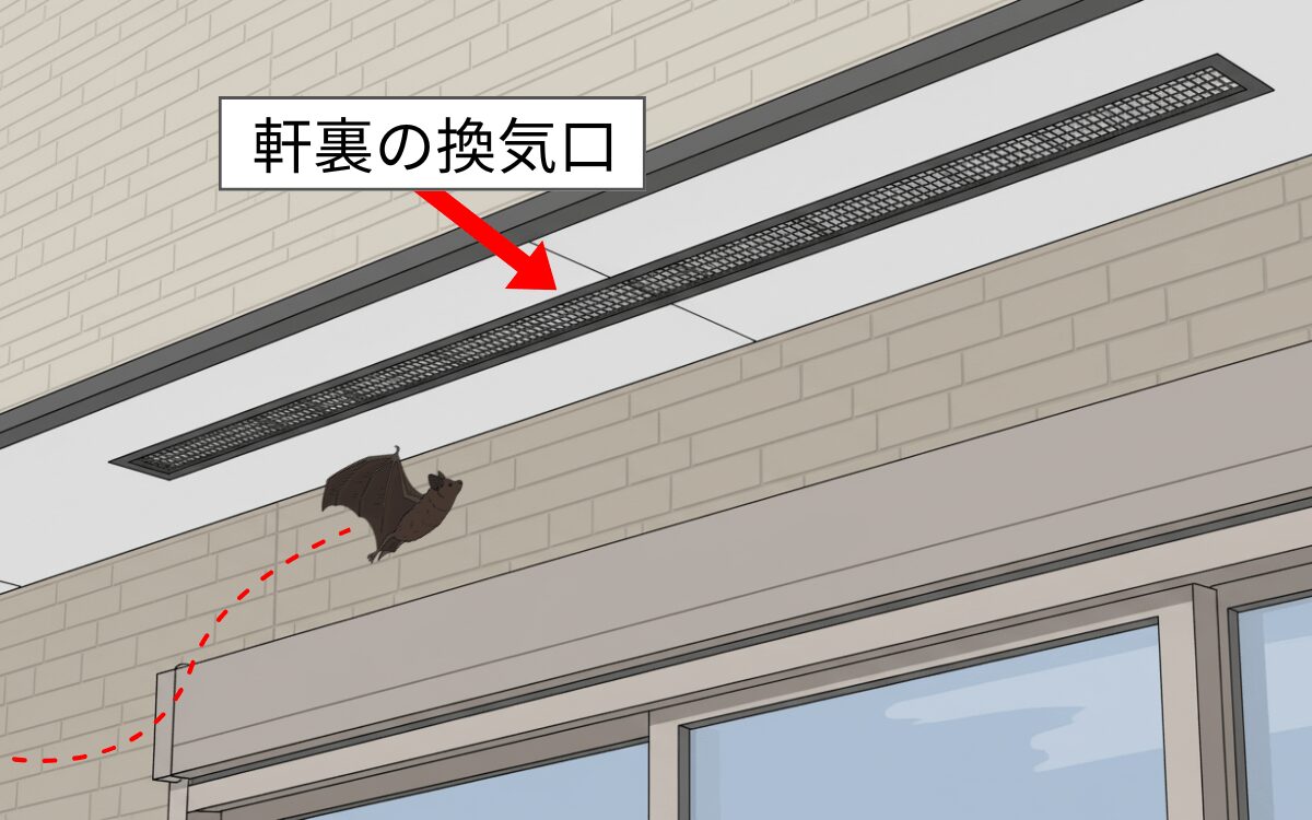【侵入経路③】軒裏の換気口