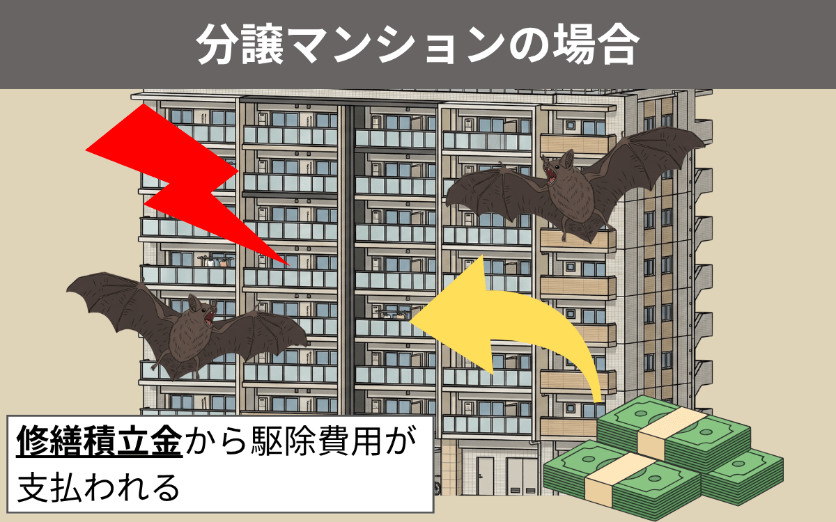 【分譲】修繕積立金から支払われる