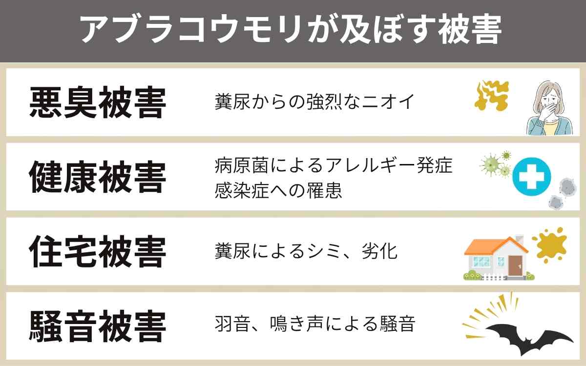 アブラコウモリが及ぼす被害