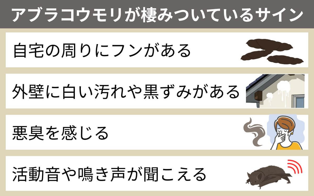 アブラコウモリが棲みついているサイン