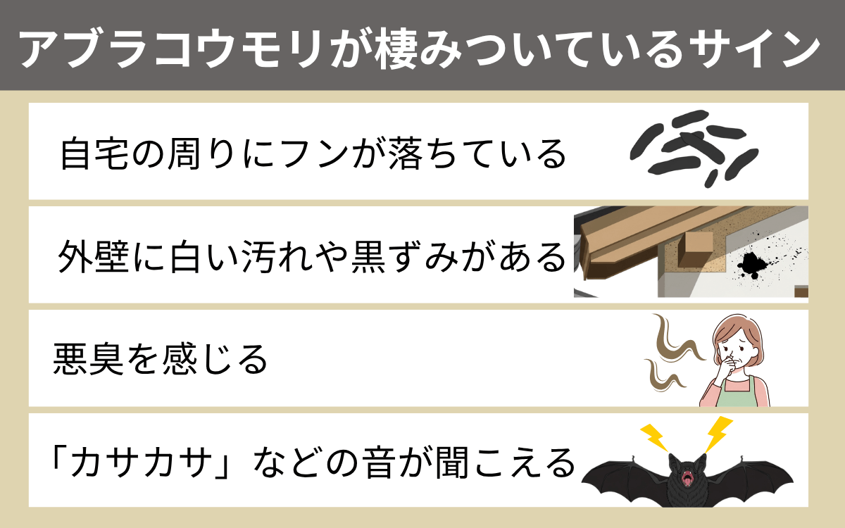 アブラコウモリが棲みついているサイン