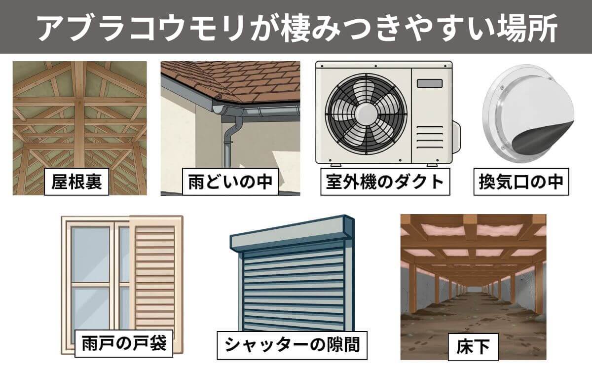 アブラコウモリが棲みつきやすい場所