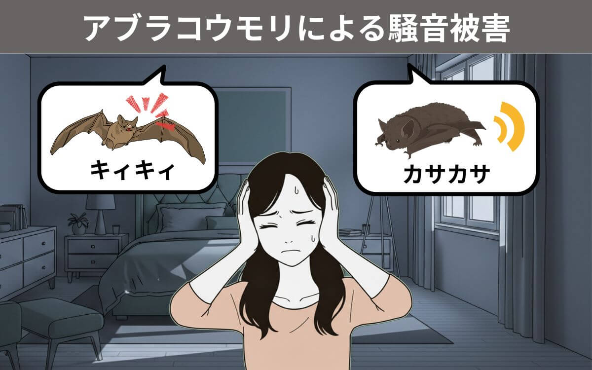 アブラコウモリによる騒音被害