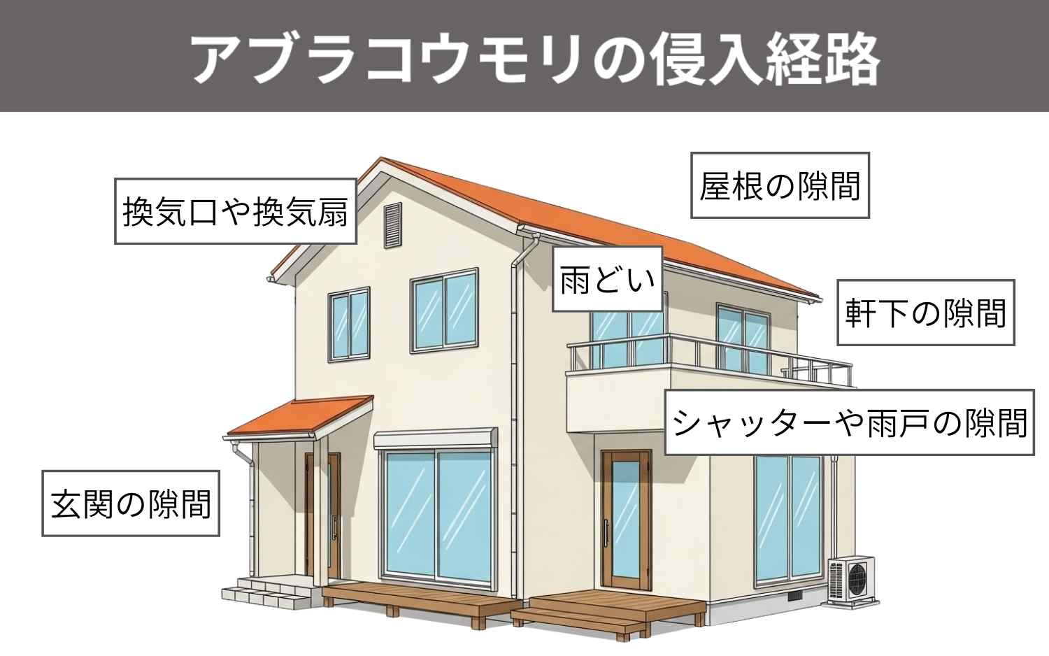アブラコウモリの侵入経路