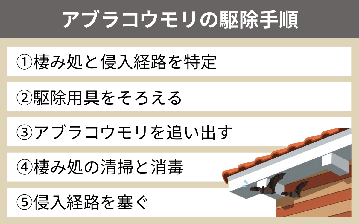 アブラコウモリの駆除手順
