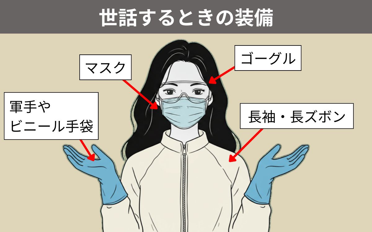 コウモリの赤ちゃんを世話する装備