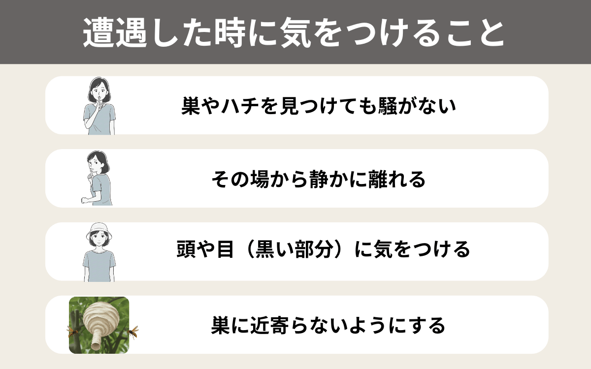 コガタスズメバチに遭遇したら
