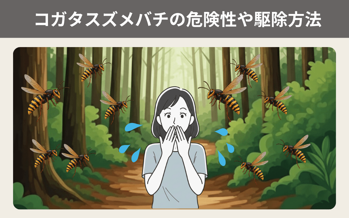 コガタスズメバチの危険性や駆除方法