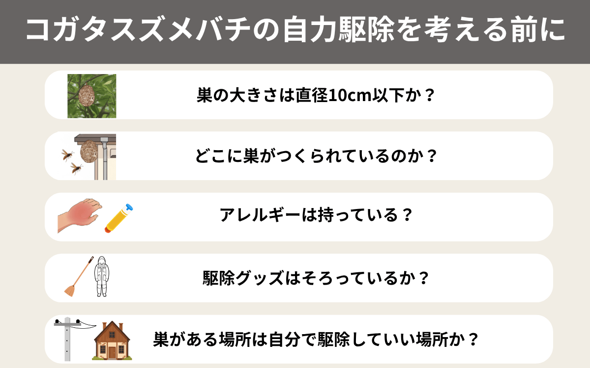 コガタスズメバチの自力駆除を考える前に
