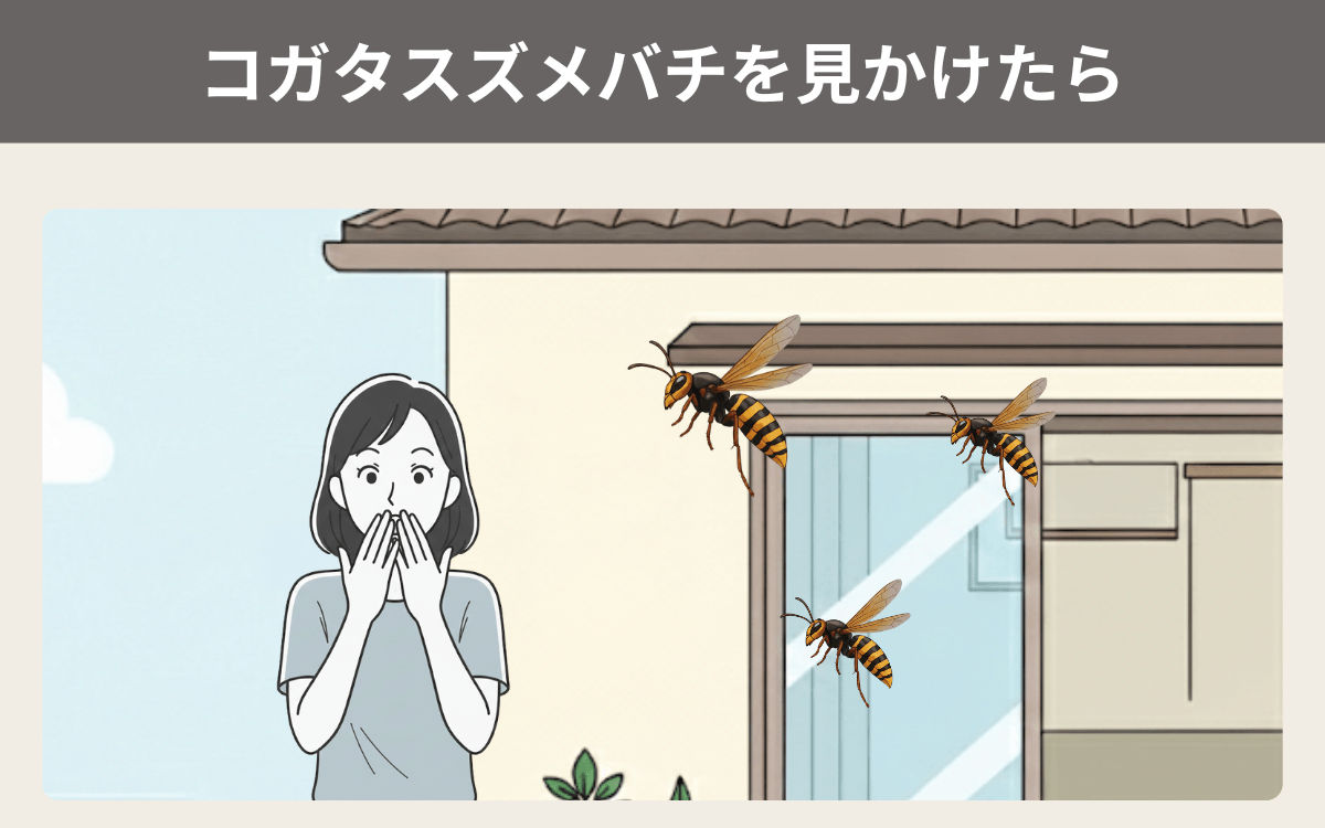 コガタスズメバチを見かけたらどうする？