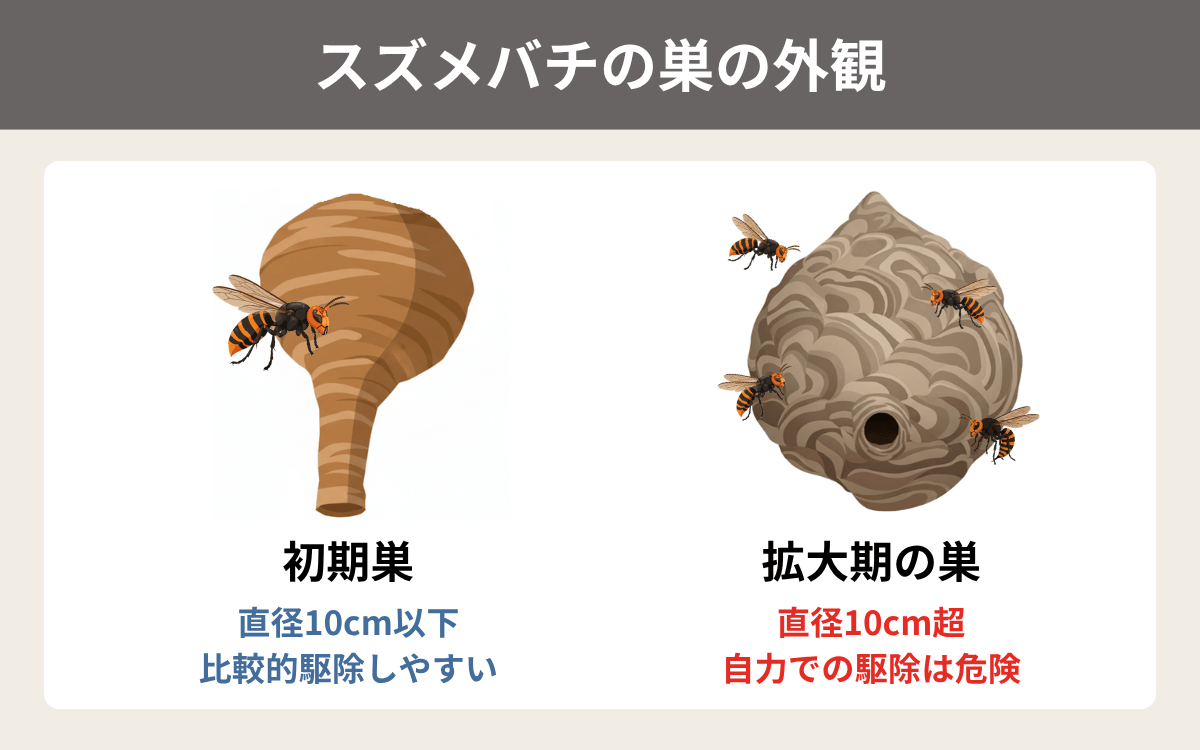 スズメバチの巣の外観
