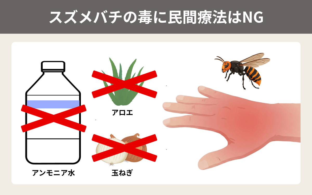 スズメバチの毒に民間療法はNG