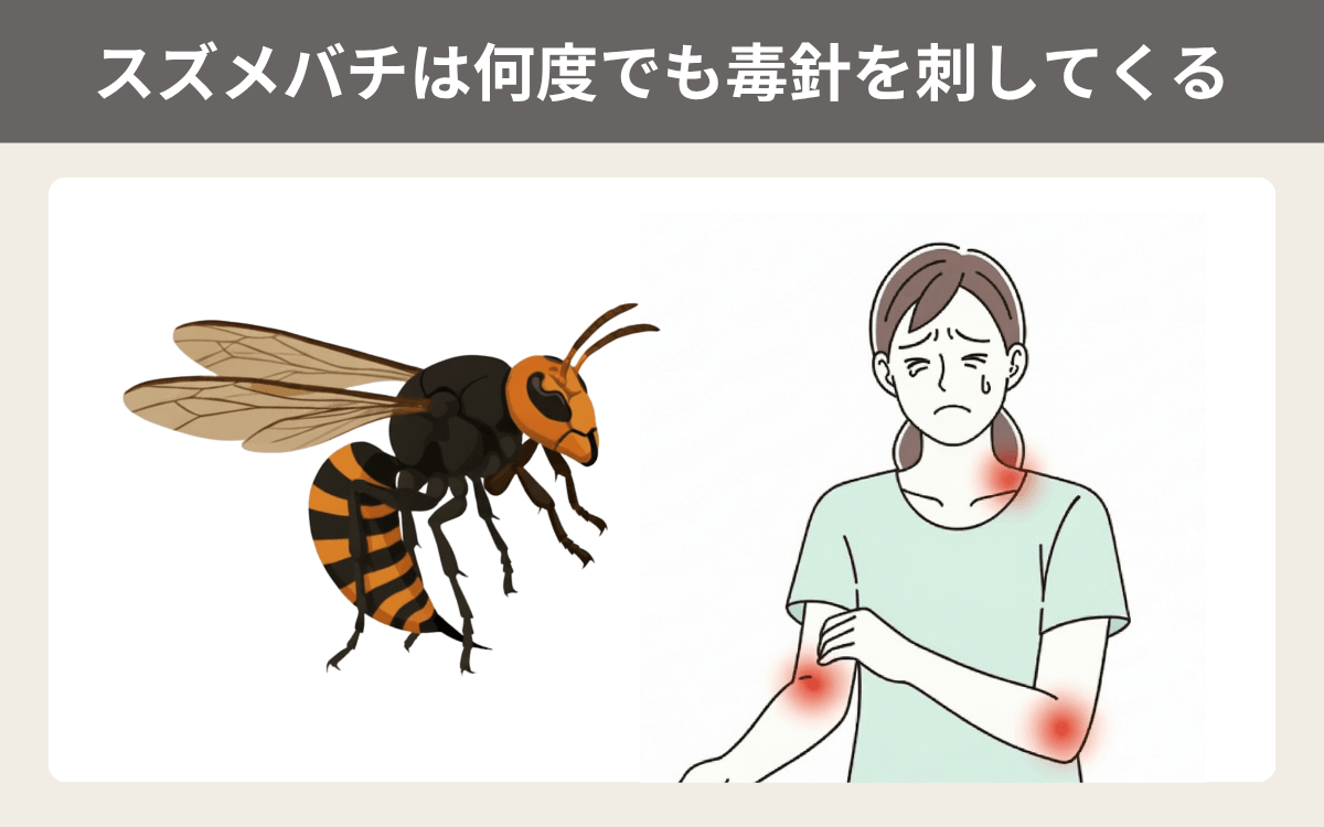 スズメバチは何度でも毒針を刺してくる