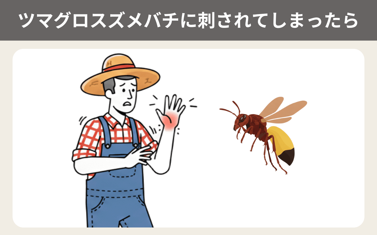 ツマグロスズメバチに刺されてしまったら