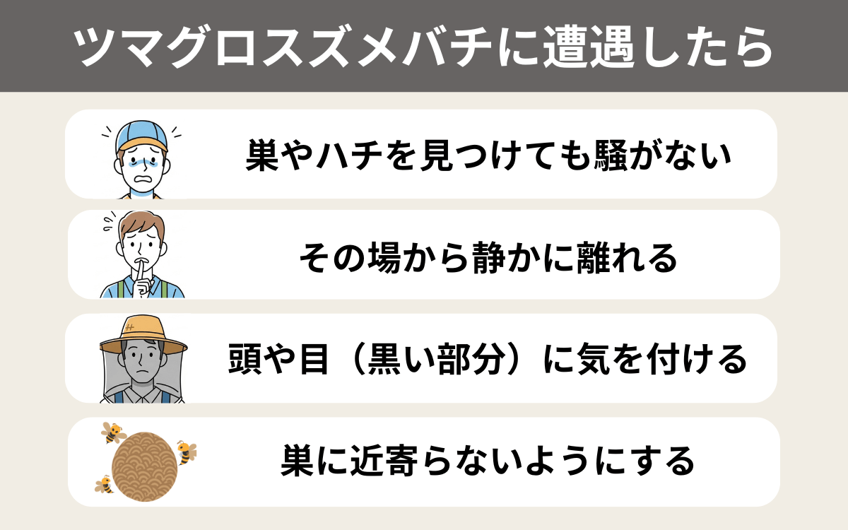 ツマグロスズメバチに遭遇したら