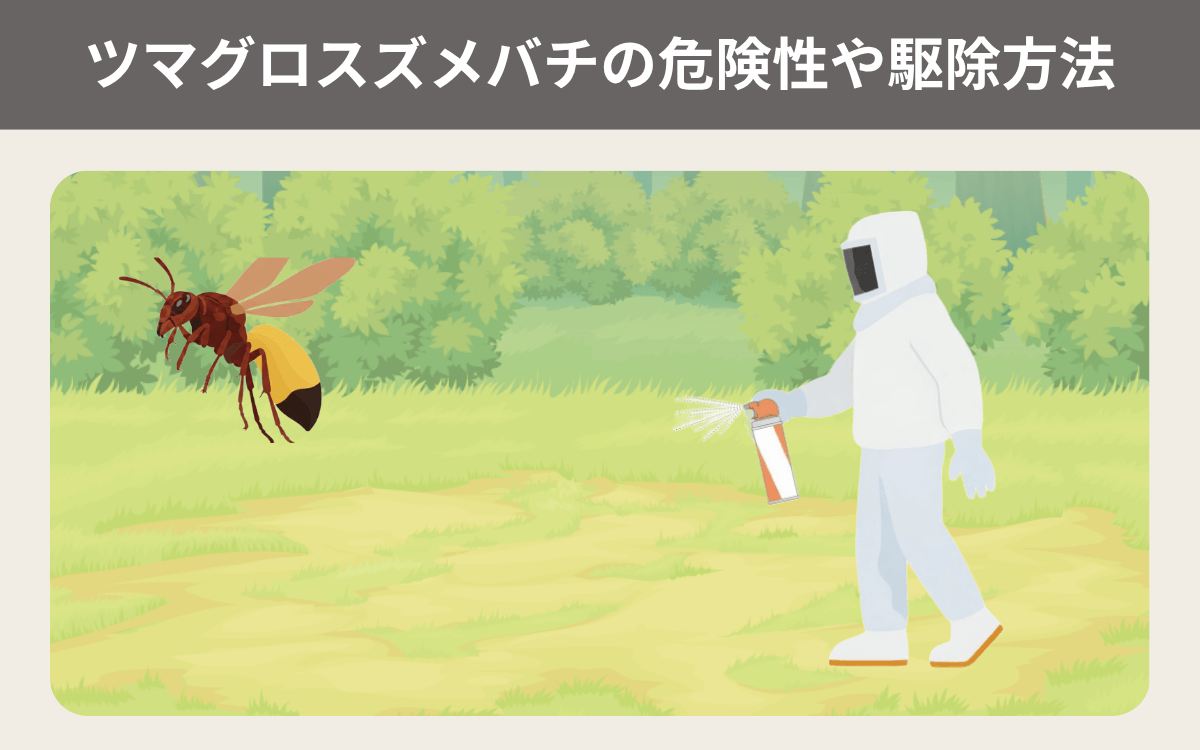ツマグロスズメバチの危険性や駆除方法