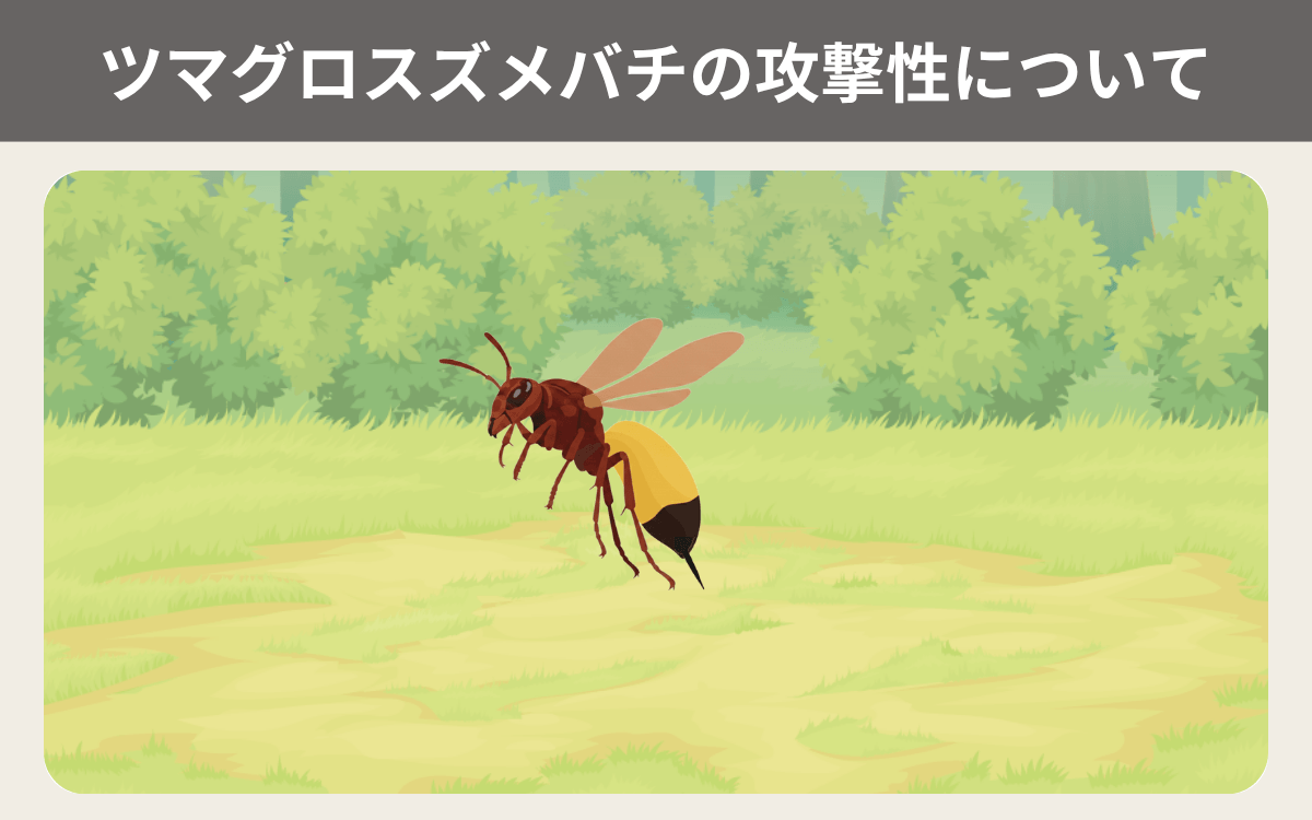 ツマグロスズメバチの攻撃性について