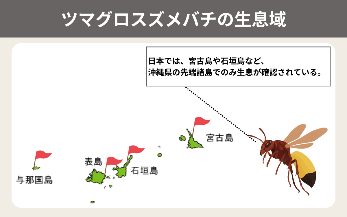 ツマグロスズメバチの生息域