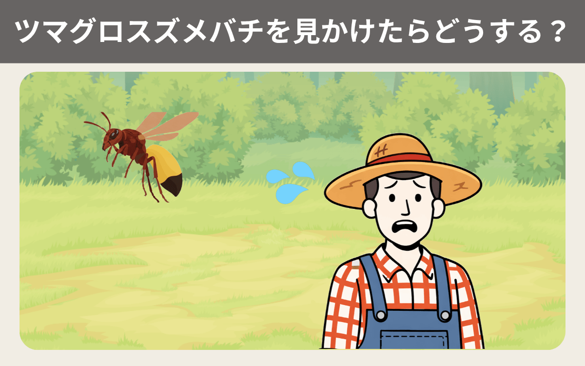 ツマグロスズメバチを見かけたらどうする？