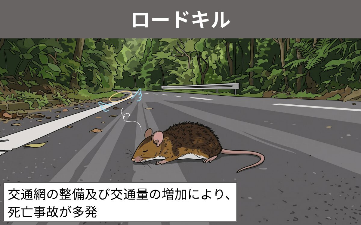 ロードキル トゲネズミ