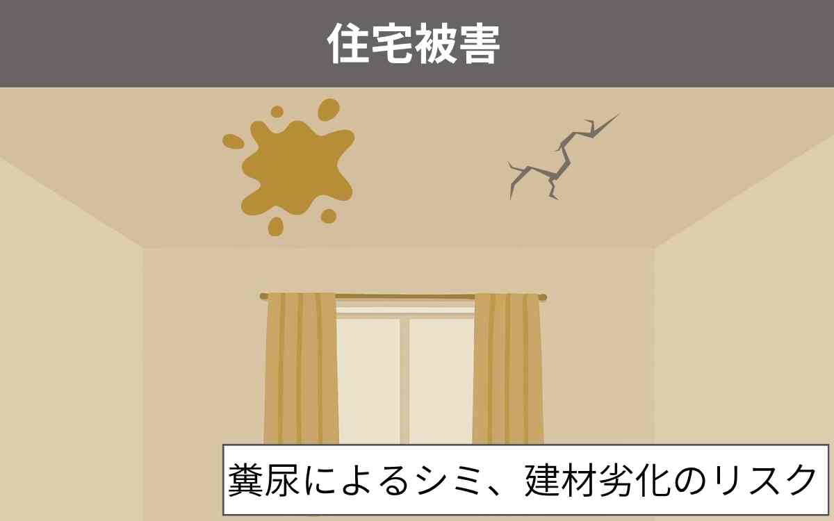 住宅被害
