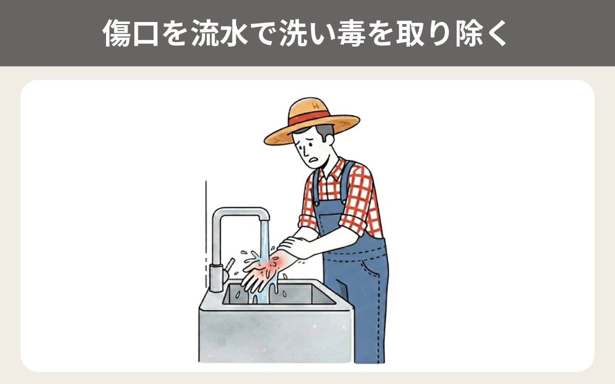 傷口を流水で洗い毒を取り除く