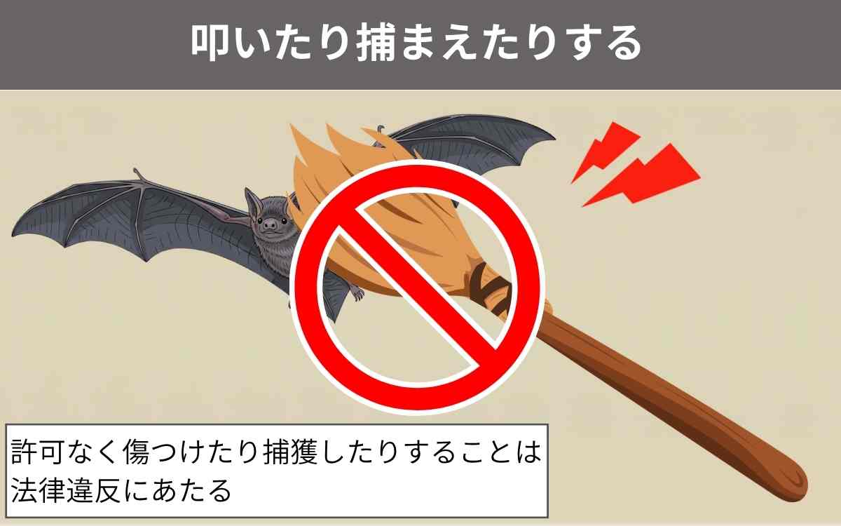 叩いたり捕まえたりする