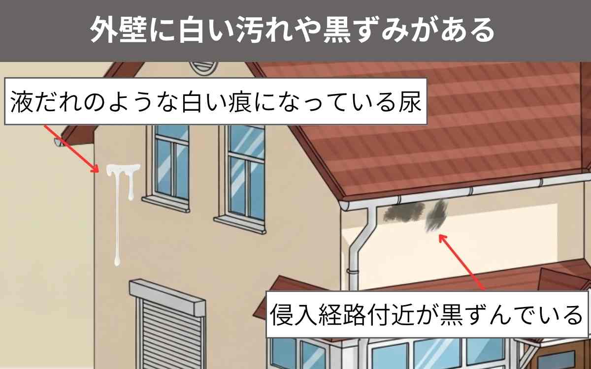 外壁に白い汚れや黒ずみがある