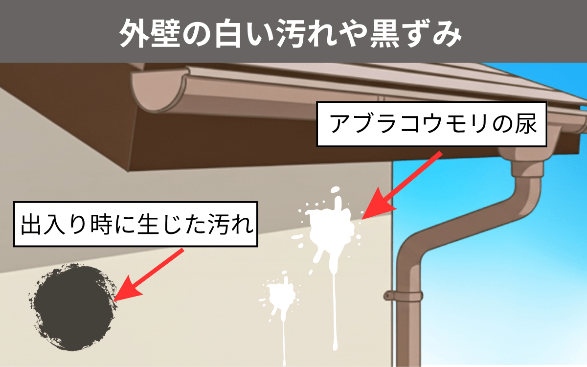 外壁に白い汚れや黒ずみがある