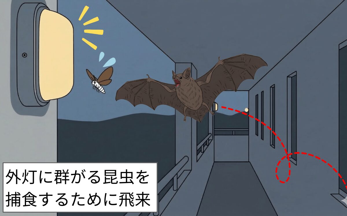 外灯の昆虫を捕食する