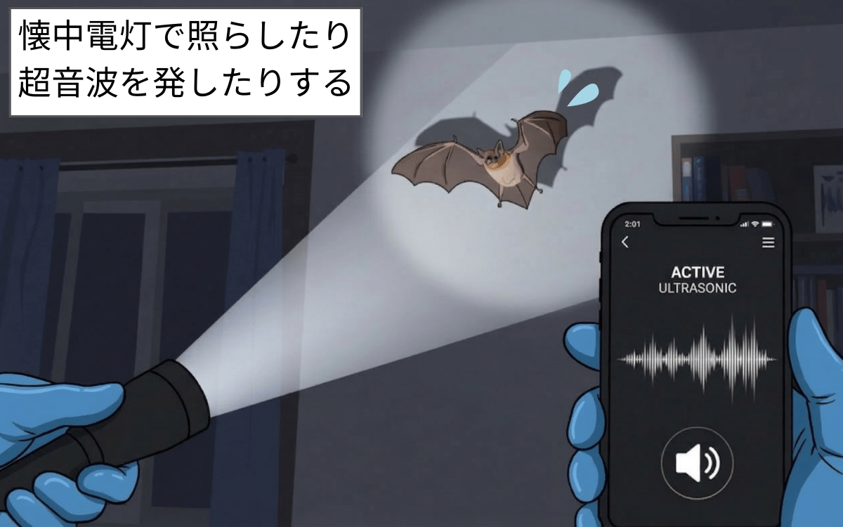 室内に入ってきたコウモリを追い出す