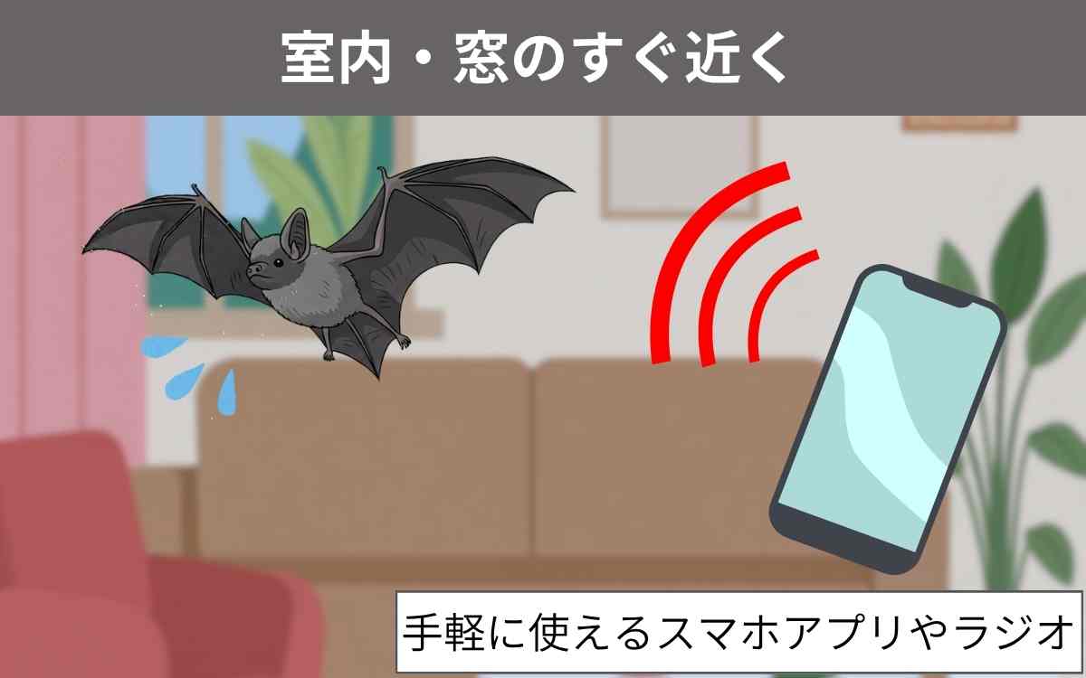 室内・窓のすぐ近く