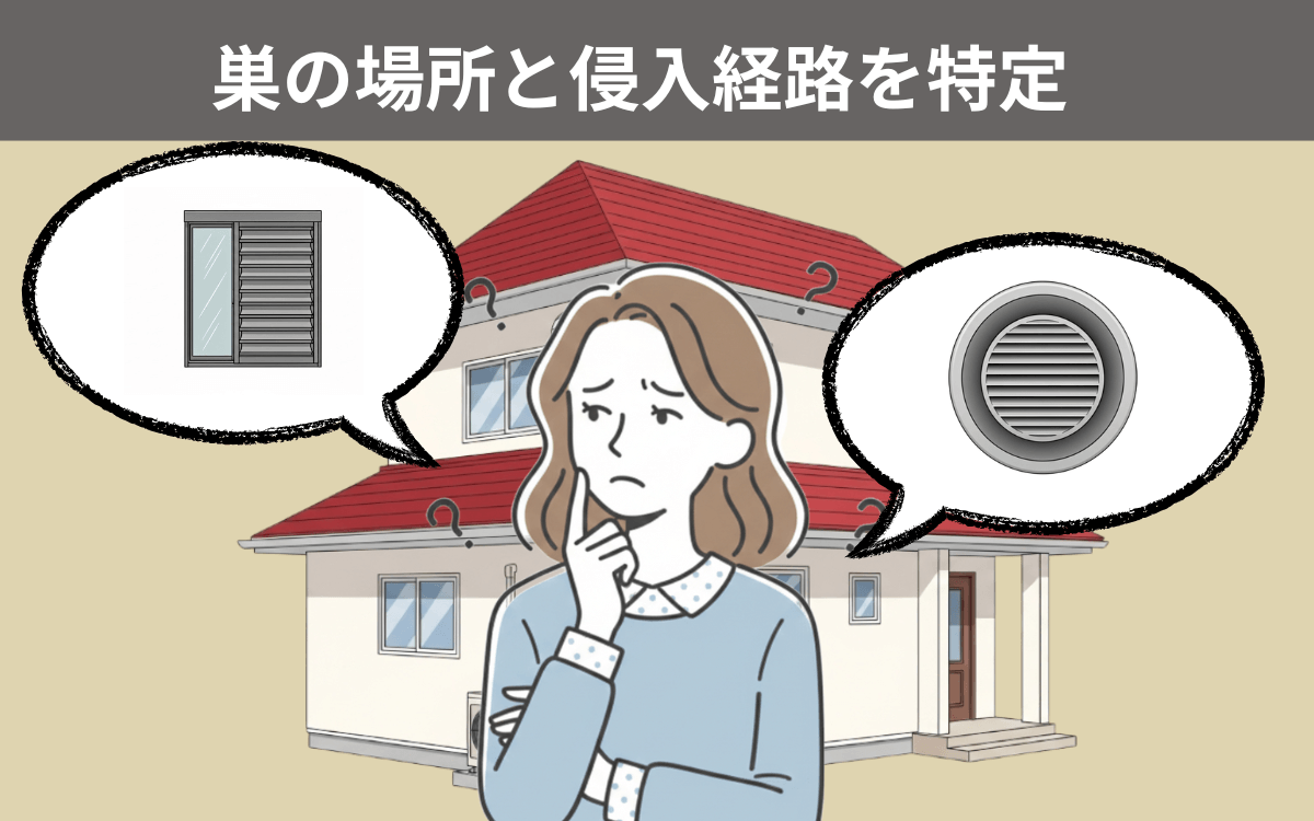 巣と侵入経路を特定