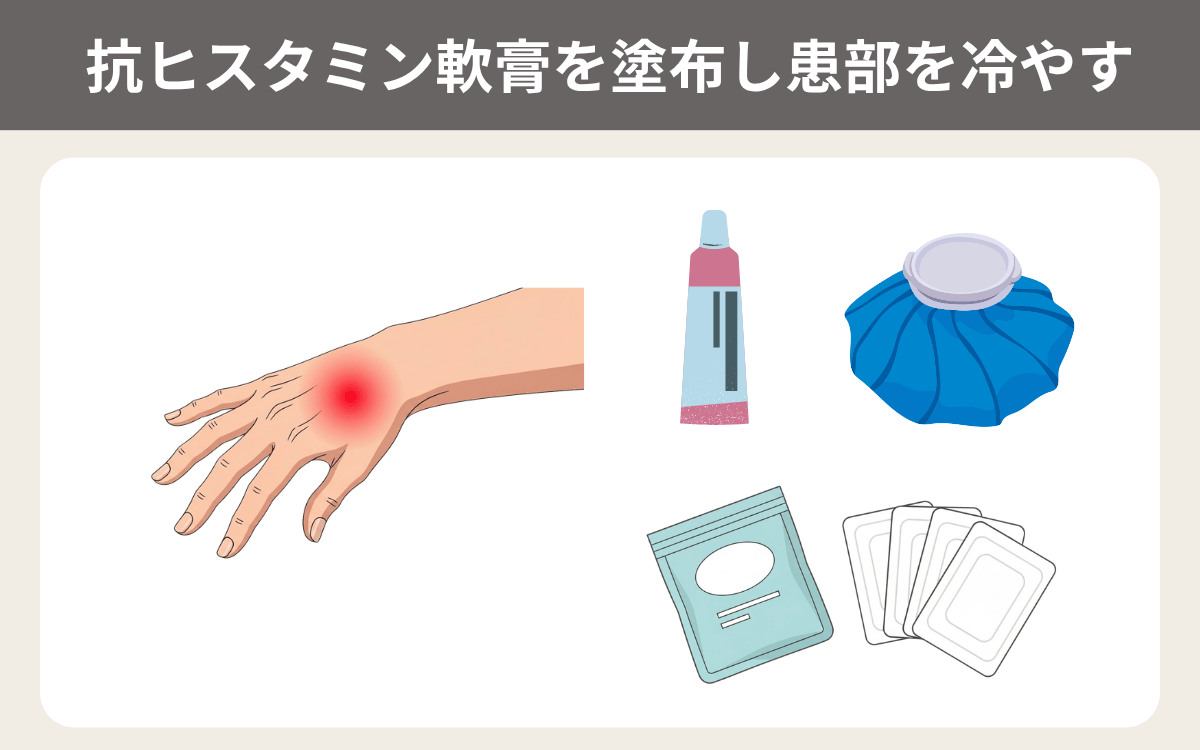 抗ヒスタミン軟膏を塗布し患部を冷やす 1