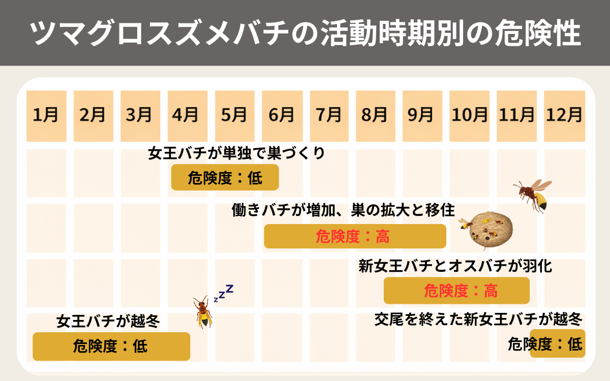 日本に生息するツマグロスズメバチの活動時期別の危険性