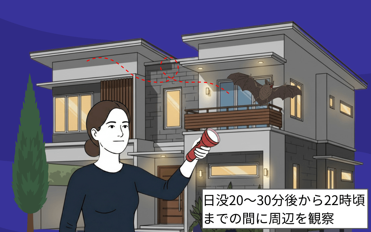 日没後に自宅周辺を観察