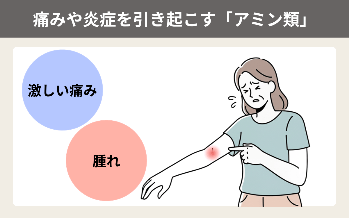 痛みや炎症を引き起こす「アミン類」