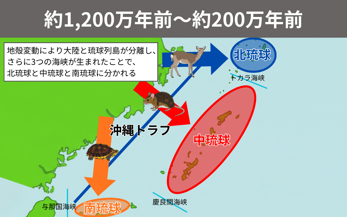 約1200万年前～約200万年前