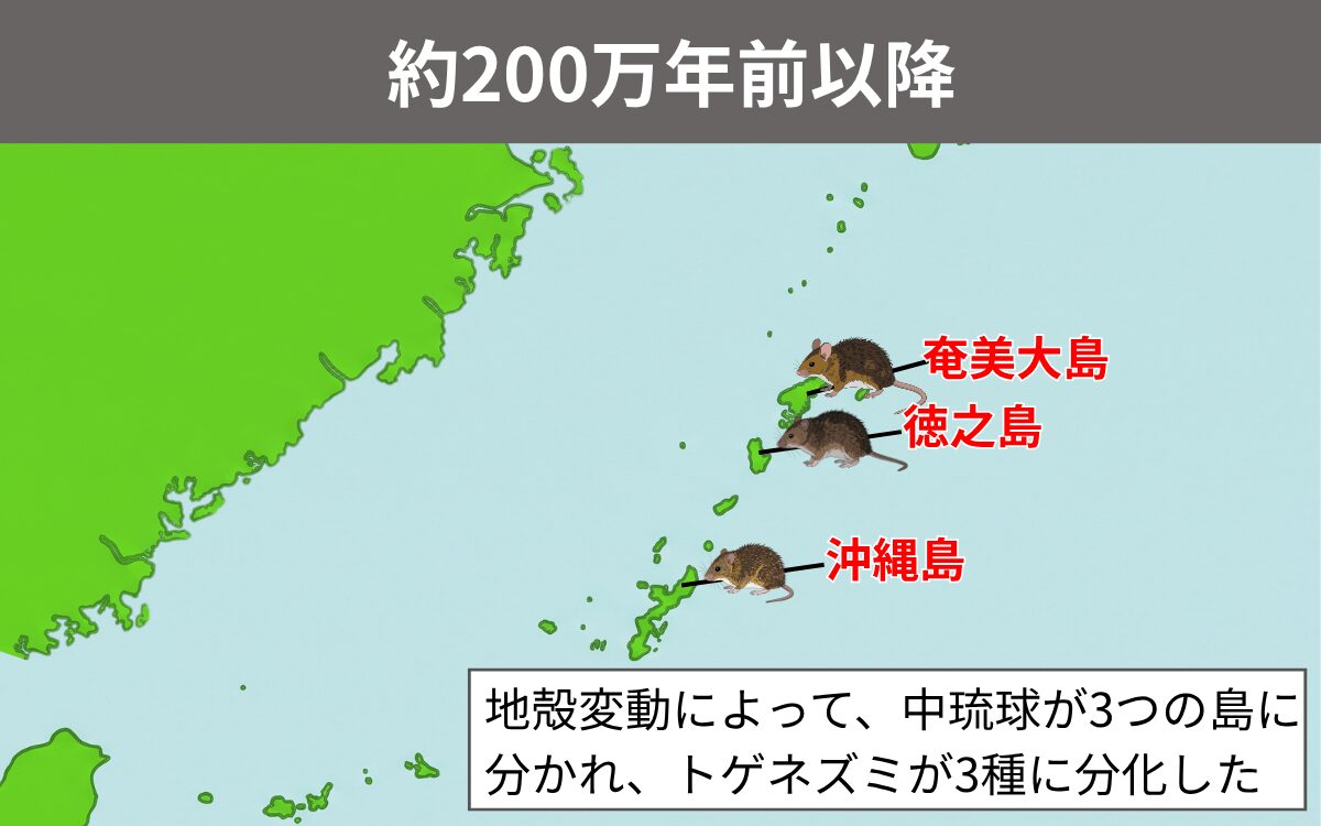 約200万年前以降