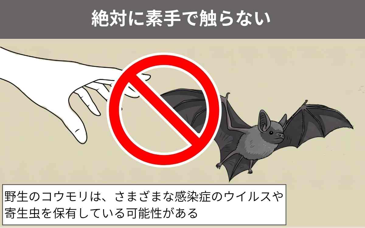 絶対に素手で触らない