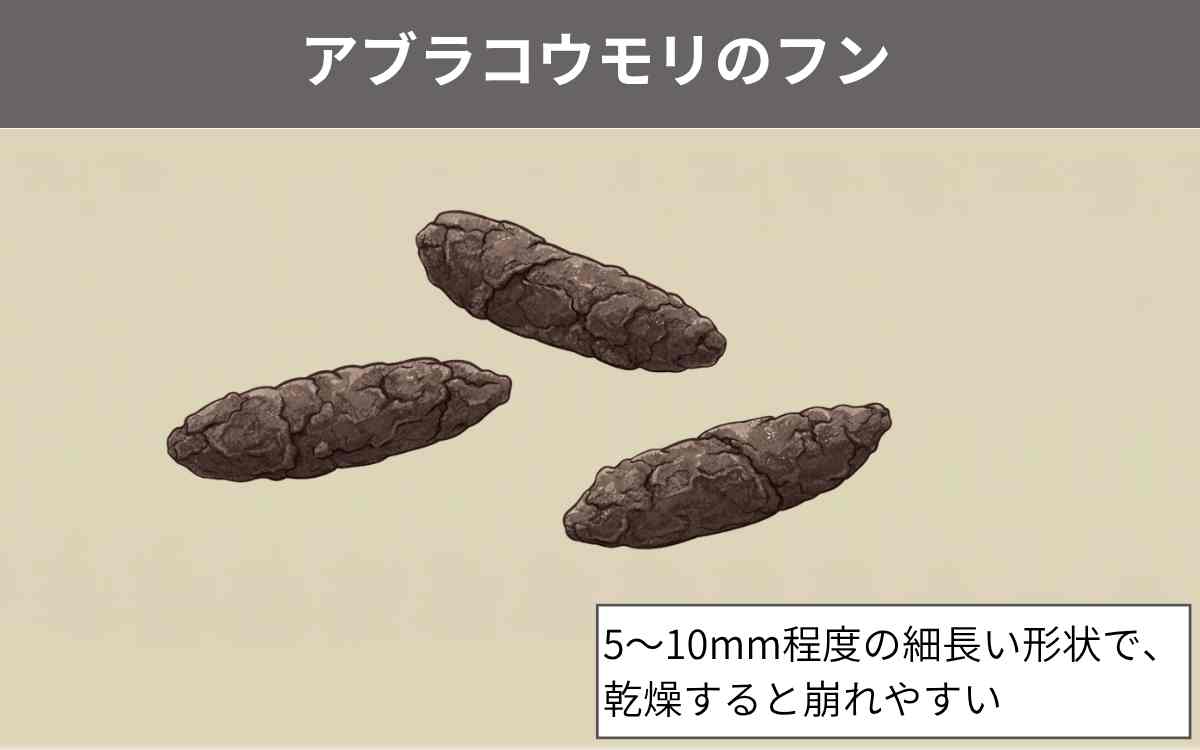 自宅の周りにフンがある