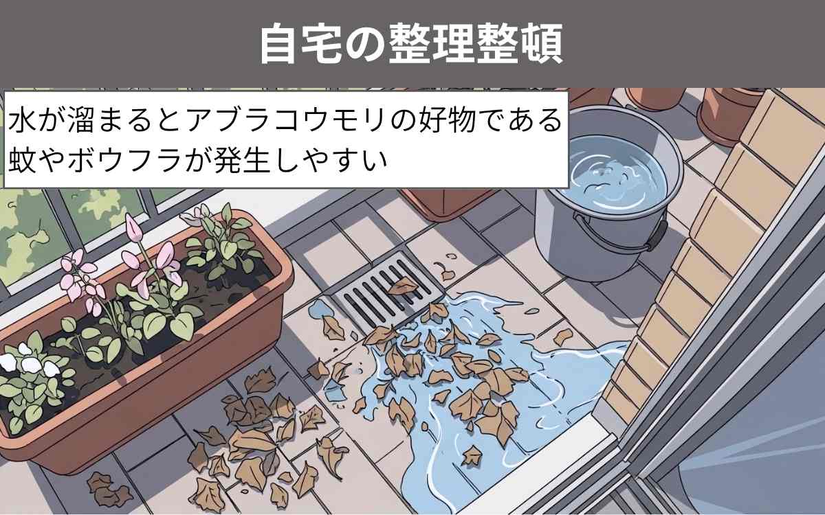 自宅の整理整頓