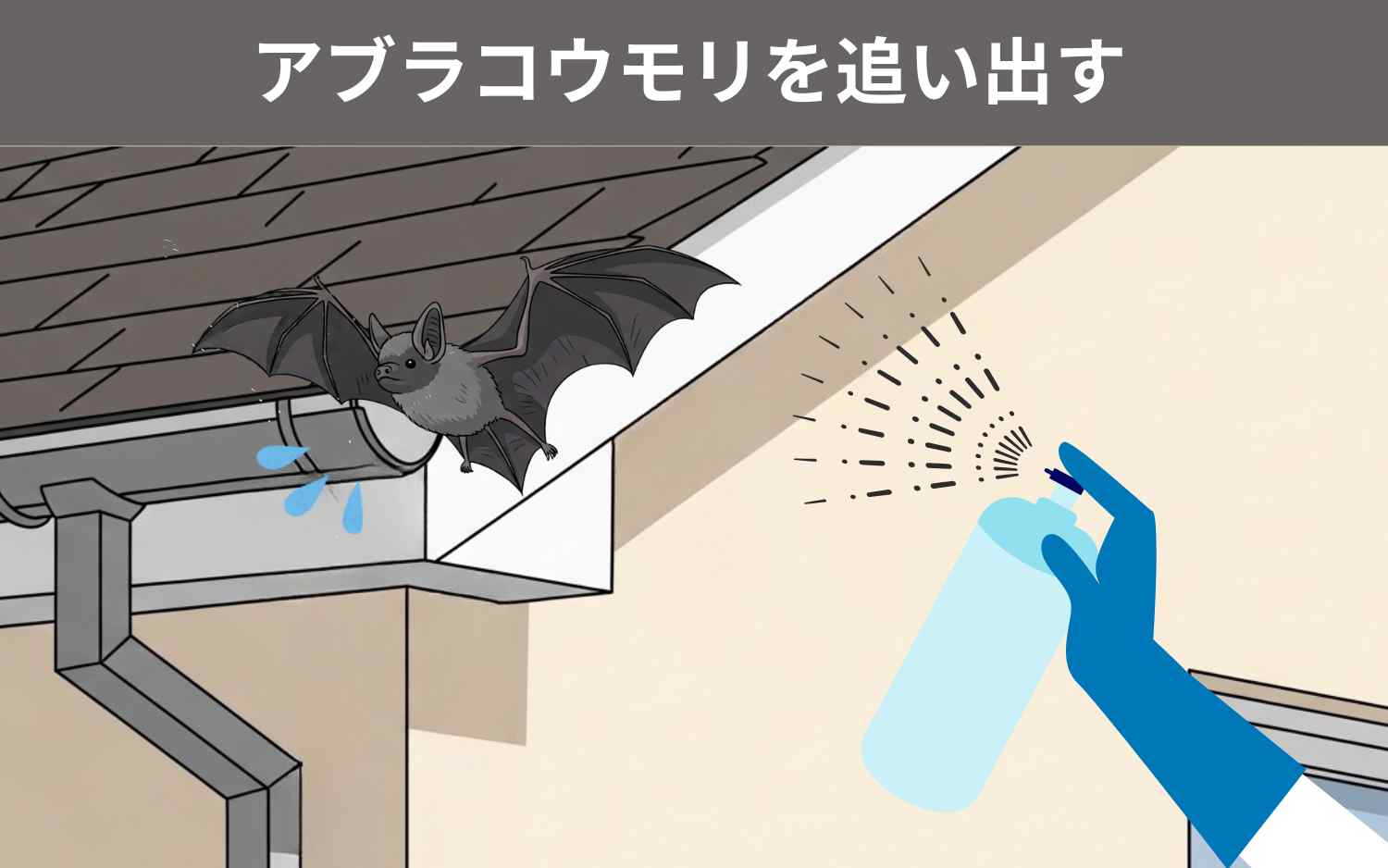 駆除手順③アブラコウモリを追い出す