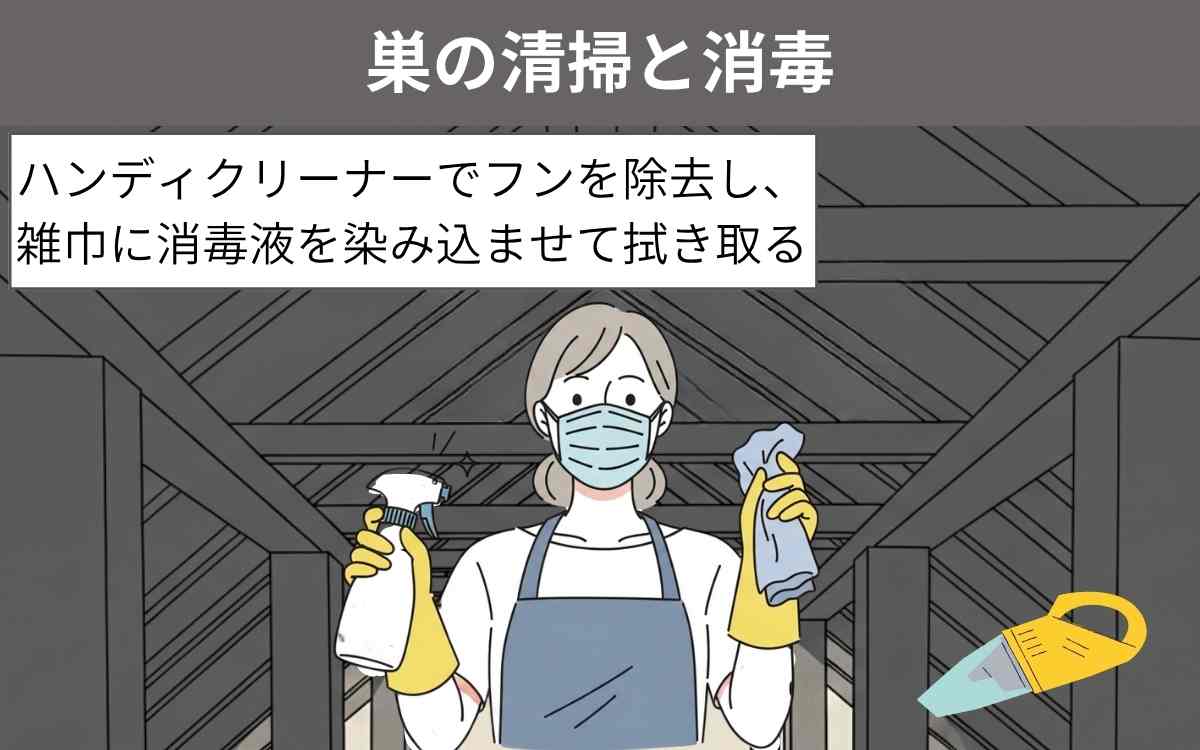 駆除手順④巣の清掃と消毒