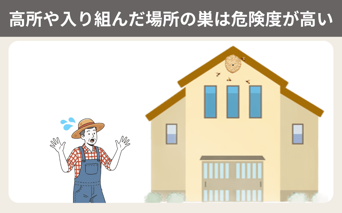 高所や入り組んだ場所の巣は危険度が高い