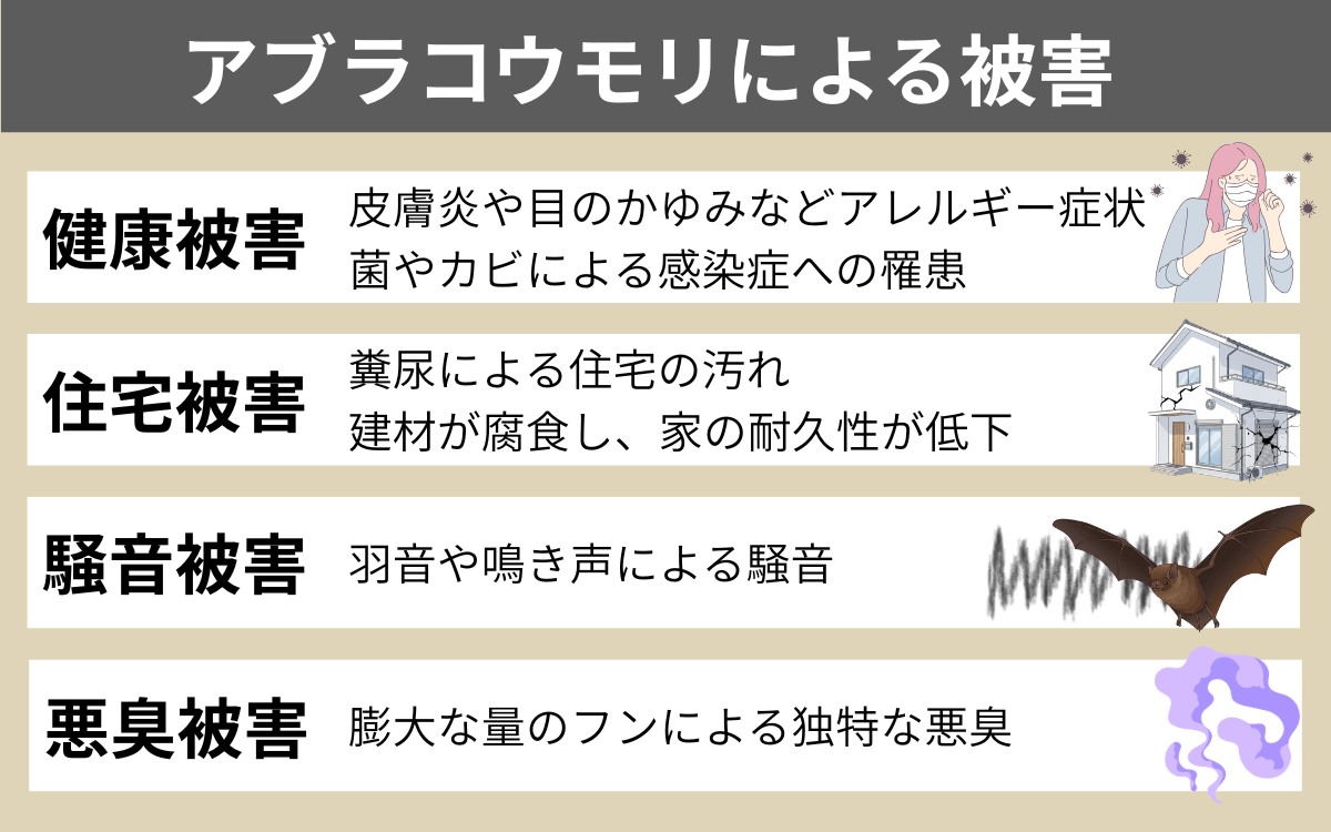 アブラコウモリによる被害
