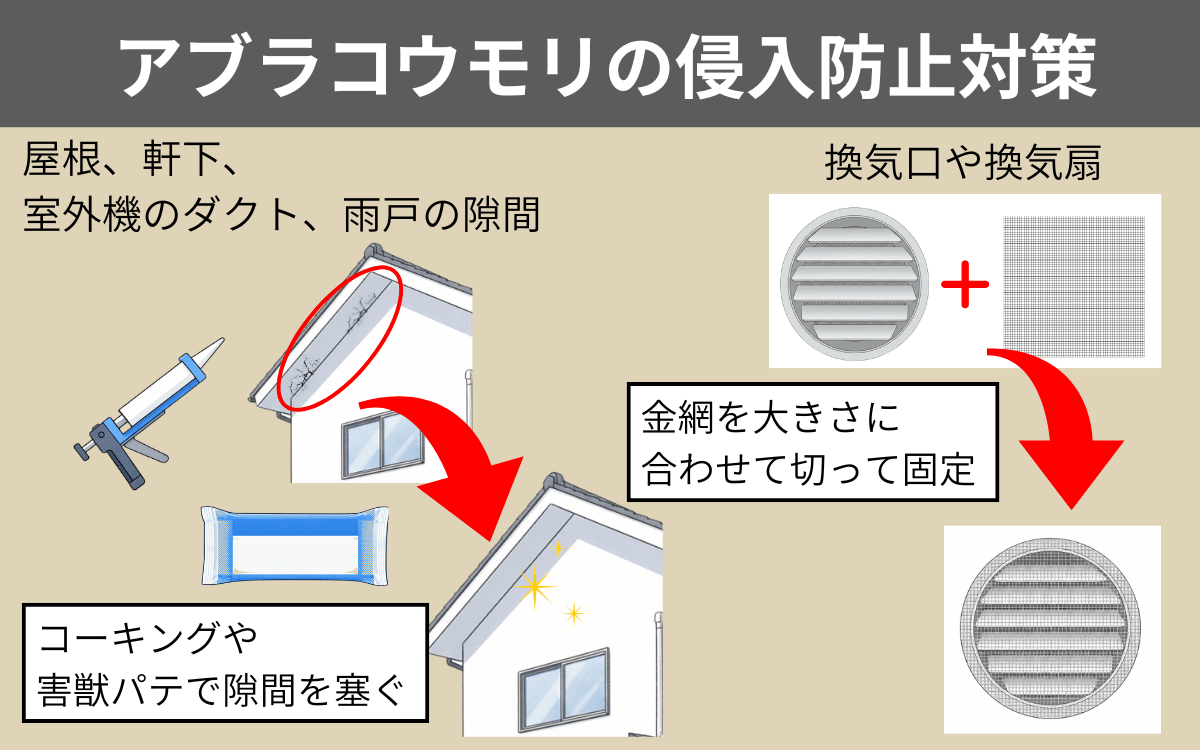アブラコウモリの侵入防止対策
