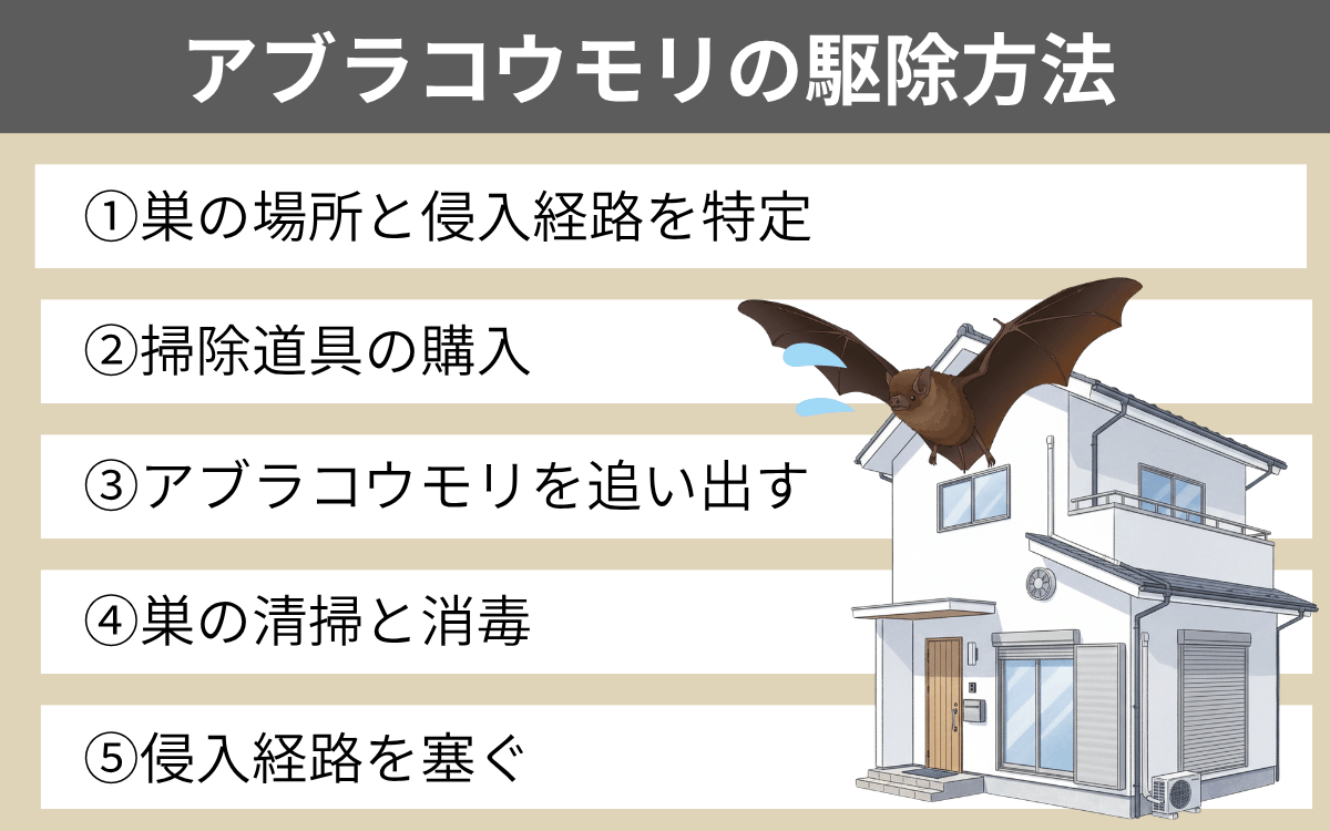 アブラコウモリの駆除方法
