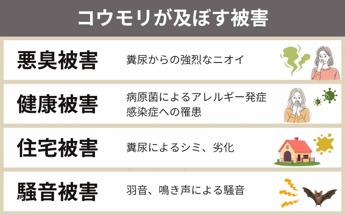 コウモリを放置するとこんなに危険！